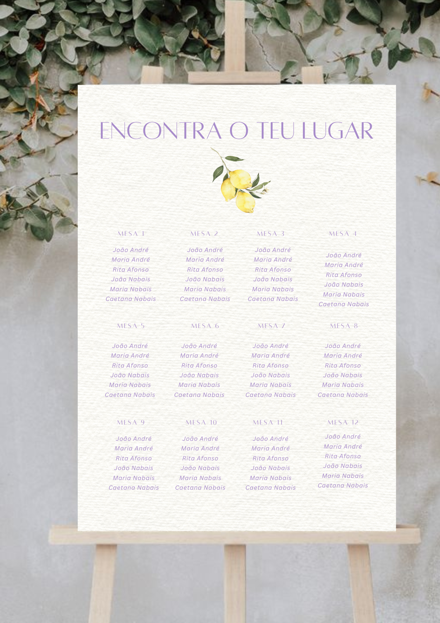 Placa de Lugares - Tema Limões